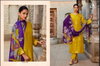 Cinderella Shehnai Designer With Handwork Salwar Suit Collection
